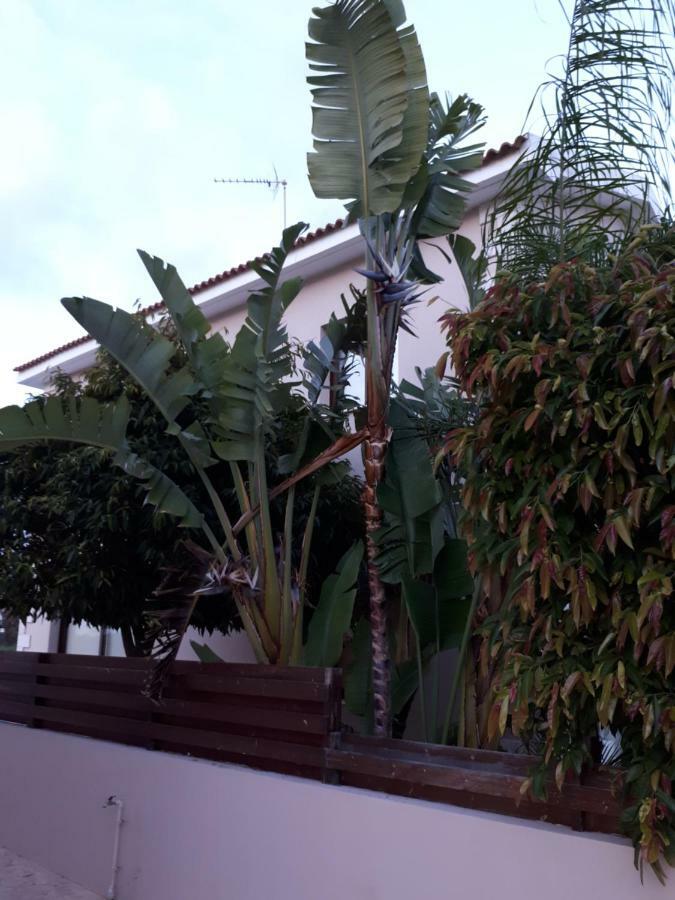 Marias Villa โปรทาราส ภายนอก รูปภาพ